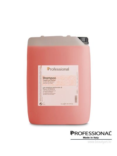 PROFESSIONAL -ŠAMPON OD BRESKVE I DINJE 10lt